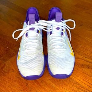 Lebron Witness IV basketball shoes